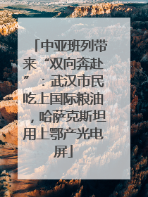 中亚班列带来“双向奔赴”：武汉市民吃上国际粮油，哈萨克斯坦用上鄂产光电屏
