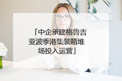 中企承建格鲁吉亚波季港集装箱堆场投入运营