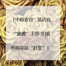 中原农谷：盐店庄“滩桃”上市 全国客商凌晨“赶集”