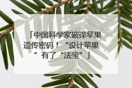 中国科学家破译苹果遗传密码！“设计苹果”有了“法宝”