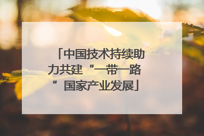 中国技术持续助力共建“一带一路”国家产业发展