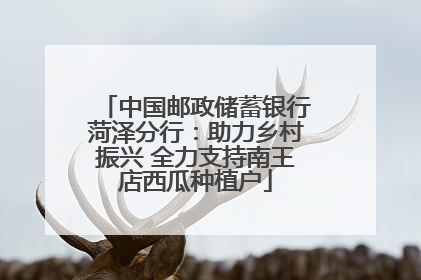 中国邮政储蓄银行菏泽分行：助力乡村振兴 全力支持南王店西瓜种植户