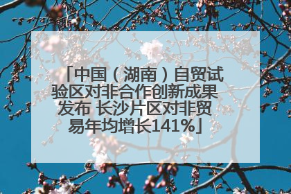 中国（湖南）自贸试验区对非合作创新成果发布 长沙片区对非贸易年均增长141%