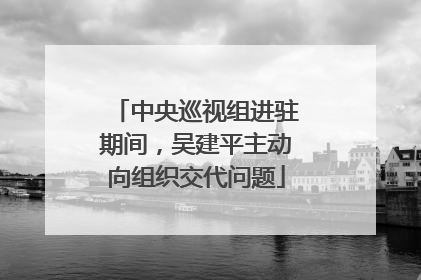 中央巡视组进驻期间，吴建平主动向组织交代问题