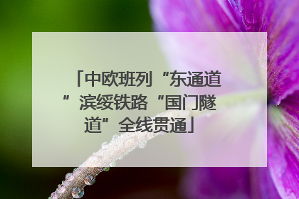 中欧班列“东通道”滨绥铁路“国门隧道”全线贯通
