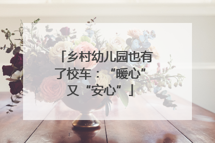 乡村幼儿园也有了校车：“暖心”又“安心”