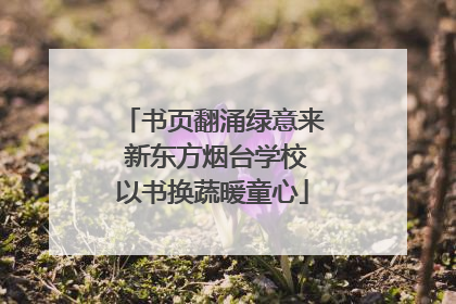 书页翻涌绿意来 新东方烟台学校以书换蔬暖童心