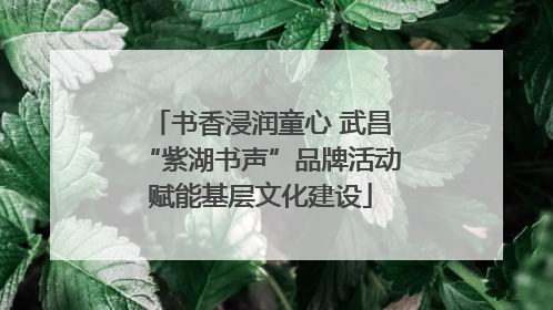 书香浸润童心 武昌“紫湖书声”品牌活动赋能基层文化建设