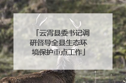 云霄县委书记调研督导全县生态环境保护重点工作