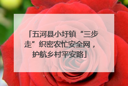 五河县小圩镇“三步走”织密农忙安全网，护航乡村平安路