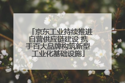 京东工业持续推进自营供应链建设 携手百大品牌构筑新型工业化基础设施