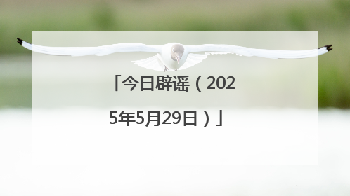 今日辟谣（2025年5月29日）