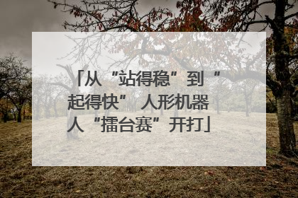 从“站得稳”到“起得快” 人形机器人“擂台赛”开打
