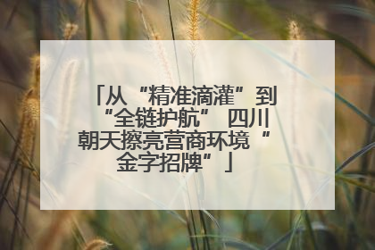 从“精准滴灌”到“全链护航” 四川朝天擦亮营商环境“金字招牌”