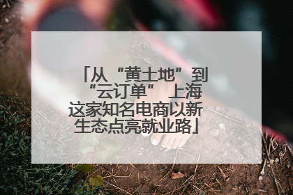 从“黄土地”到“云订单” 上海这家知名电商以新生态点亮就业路