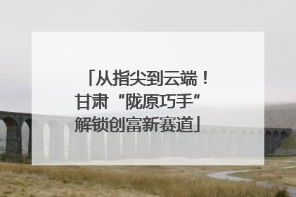 从指尖到云端！甘肃“陇原巧手”解锁创富新赛道