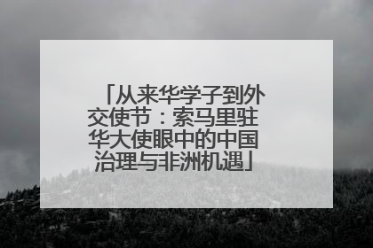 从来华学子到外交使节：索马里驻华大使眼中的中国治理与非洲机遇