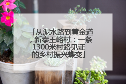 从泥水路到黄金道，新泰王峪村：一条1300米村路见证的乡村振兴蝶变