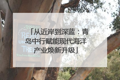 从近岸到深蓝：青岛中行赋能现代海洋产业焕新升级