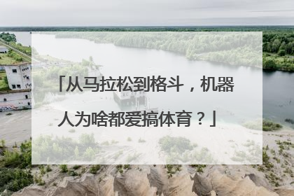从马拉松到格斗，机器人为啥都爱搞体育？
