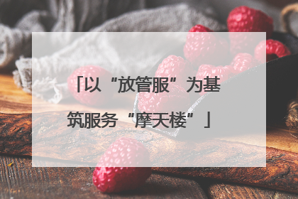 以“放管服”为基筑服务“摩天楼”