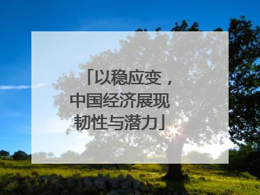 以稳应变，中国经济展现韧性与潜力