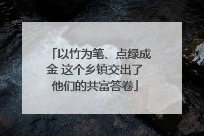以竹为笔、点绿成金 这个乡镇交出了他们的共富答卷