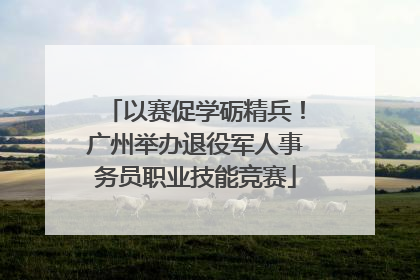 以赛促学砺精兵！广州举办退役军人事务员职业技能竞赛