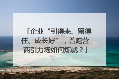 企业“引得来、留得住、成长好”，普陀营商引力场如何炼就？