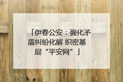 伊春公安:强化矛盾纠纷化解 织密基层“平安网”