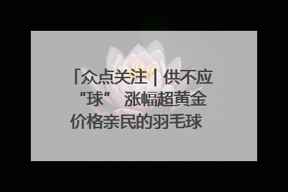 众点关注｜供不应“球” 涨幅超黄金 价格亲民的羽毛球为何身价飞涨？