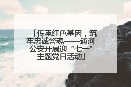 传承红色基因，筑牢忠诚警魂——通河公安开展迎“七一”主题党日活动