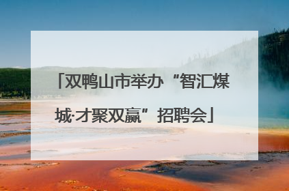 双鸭山市举办“智汇煤城·才聚双赢”招聘会