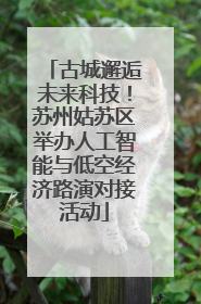 古城邂逅未来科技！苏州姑苏区举办人工智能与低空经济路演对接活动