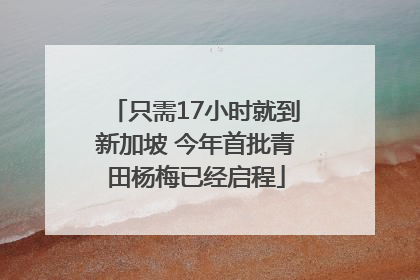 只需17小时就到新加坡 今年首批青田杨梅已经启程