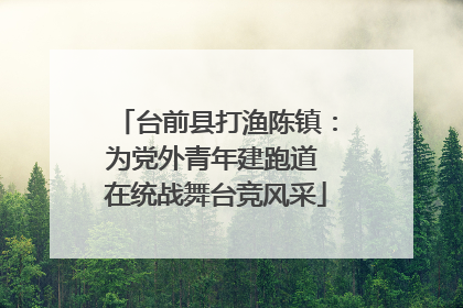 台前县打渔陈镇：为党外青年建跑道 在统战舞台竞风采
