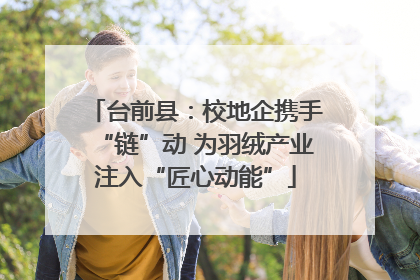 台前县：校地企携手“链”动 为羽绒产业注入“匠心动能”