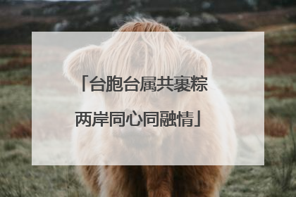 台胞台属共裹粽 两岸同心同融情
