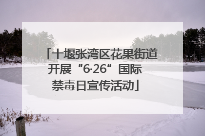 十堰张湾区花果街道开展“6·26”国际禁毒日宣传活动