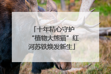 十年精心守护 “植物大熊猫”红河苏铁焕发新生