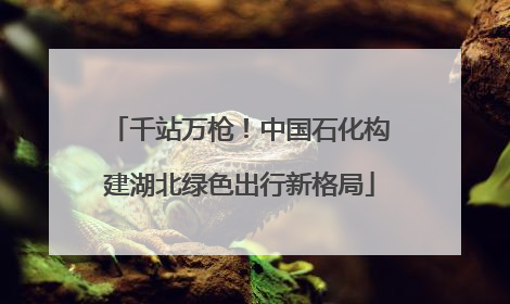 千站万枪！中国石化构建湖北绿色出行新格局