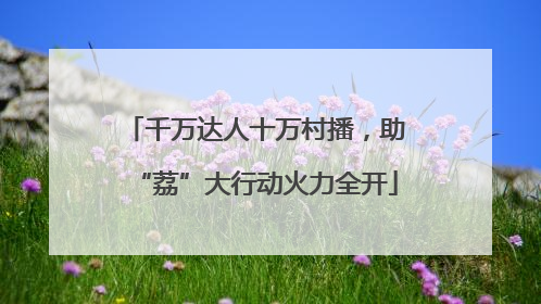 千万达人十万村播，助“荔”大行动火力全开