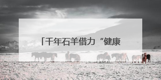 千年石羊借力“健康湘菜”突围，湘乡特色农业加速“出省”