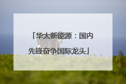 华太新能源：国内先锋奋争国际龙头