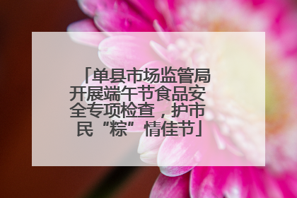 单县市场监管局开展端午节食品安全专项检查，护市民“粽”情佳节