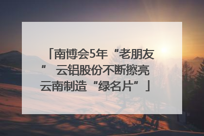 南博会5年“老朋友” 云铝股份不断擦亮云南制造“绿名片”