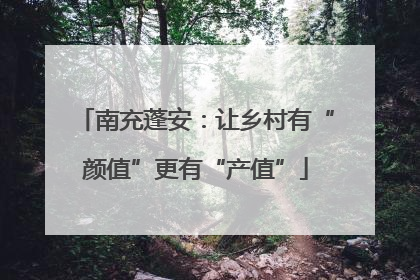 南充蓬安：让乡村有“颜值”更有“产值”