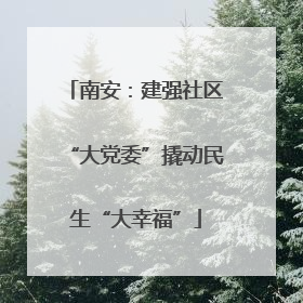 南安：建强社区“大党委”撬动民生“大幸福”