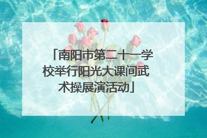 南阳市第二十一学校举行阳光大课间武术操展演活动