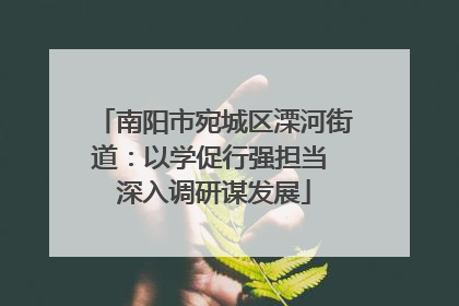 南阳市宛城区溧河街道：以学促行强担当 深入调研谋发展